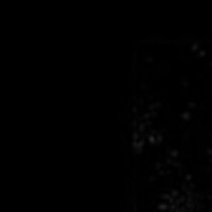 Meet your Posher, Bonkers